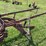 international-14-image-8