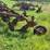 international-14-image-8