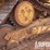 caterpillar-d6t-xl-image-6