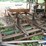#158-•-2019-smicksburg-bandmill-image-67