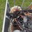 kinze-3600-image-8