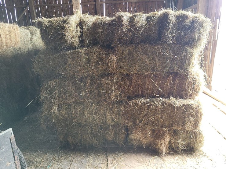 (50)-small-square-bales-of-1st-cutting-hay-in-2025-image-3