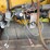 caterpillar-150-kw-image-16