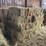 (50)-small-square-bales-of-1st-cutting-hay-in-2025-image-3