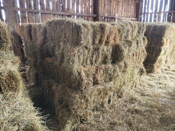 (50)-small-square-bales-of-1st-cutting-hay-in-2025-image-3