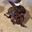 mccormick-deering-sickle-sharpener-image-3