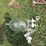 pipeline-milk-jar-image-1