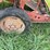 allis-chalmers-roto-baler-image-25