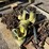 pallet-of-asst-chains,-binders-&-straps-image-4
