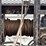 2016-international-durastar-4300-image-14