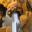 fiat-allis-d7a-image-65