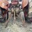 massey-ferguson-20-image-7