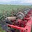case-ih-183-image-6