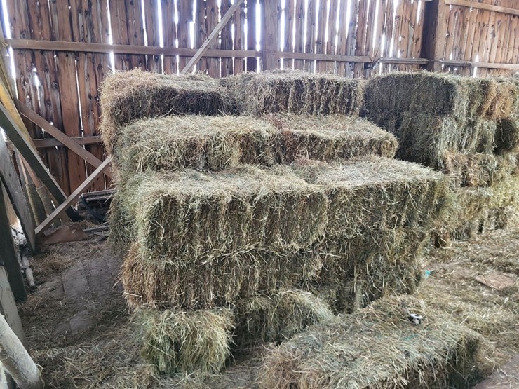 (41)-small-square-bales-of-1st-cutting-hay-in-2025-image-3