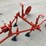 #5010-•-david-bradley-/-sears-roebuck-model-917-5756-walk-behind-tractor-image-12
