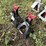 jack-stands---pair-image-2