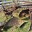 international-12-image-5