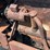 huber-b-image-38
