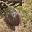 international-14-image-8