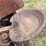huber-b-image-30