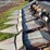 agco-630-hugger-corn-head,-6-row,-30"-image-3