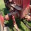 1954-farmall-super-h-image-16