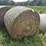 20-net-wrapped-4x5-2nd-crop-alfalfa/grass-mix-image-2