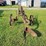 international-16-image-4