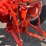 #6036-•-1954-case-sc-tractor-image-15