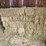 (50)-small-square-bales-of-1st-cutting-hay-in-2025-image-2