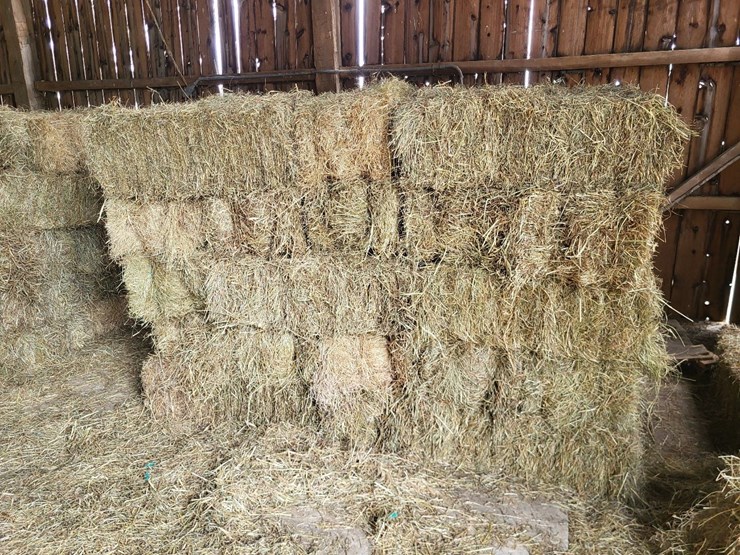 (50)-small-square-bales-of-1st-cutting-hay-in-2025-image-2