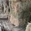 (50)-small-square-bales-of-1st-cutting-hay-in-2025-image-13