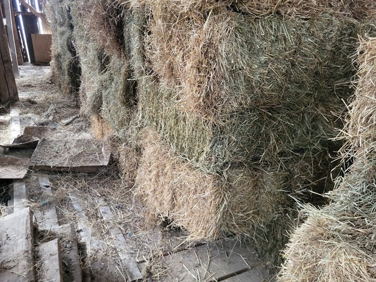 (50)-small-square-bales-of-1st-cutting-hay-in-2025-image-13