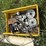 shed-curtain-cable-system-w/winch-image-3