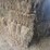 (50)-small-square-bales-of-1st-cutting-hay-in-2025*updated-bale-information-8-19-26-@-5:00p*-image-10