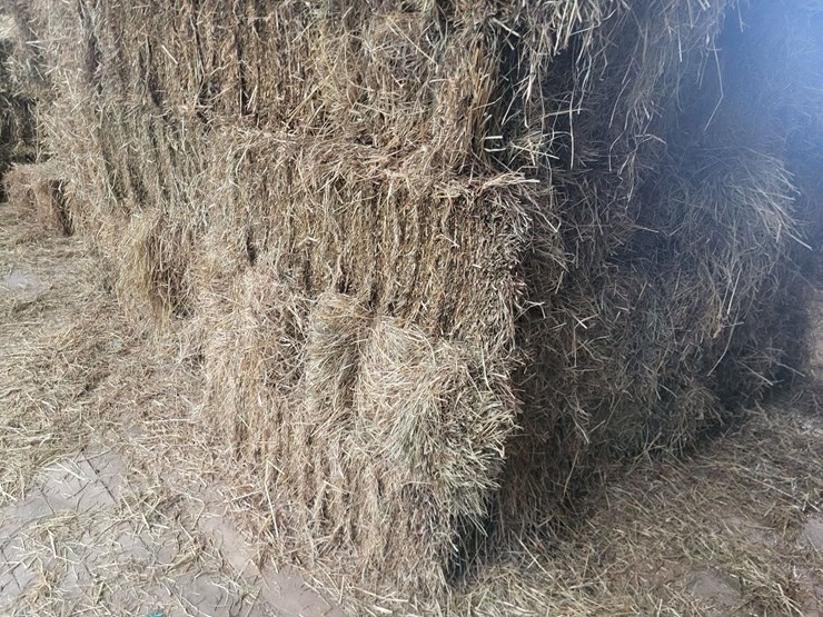 (50)-small-square-bales-of-1st-cutting-hay-in-2025*updated-bale-information-8-19-26-@-5:00p*-image-10