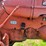 1957-allis-chalmers-d14-image-12