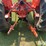 allis-chalmers-d17-image-9