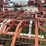 kongskilde-field-cultivator,-single-harrow,-with-double-rolling-baskets-image-6