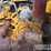 2019-caterpillar-336-image-62