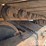 2019-caterpillar-336-image-12