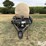 wylie-1000-image-2