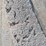 roll-of-carpet---unknown-square-footage-image-5