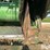 2004-john-deere-630f-image-9