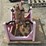 rocking-horse-image-4