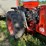 case-1290-mfwd-tractor-image-7