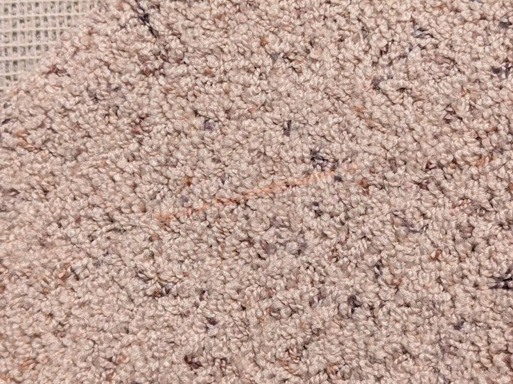 roll-of-carpet---unknown-square-footage-image-7