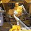 2019-caterpillar-336-image-39
