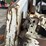 bobcat-863-image-16