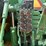 1997-john-deere-8300-image-10